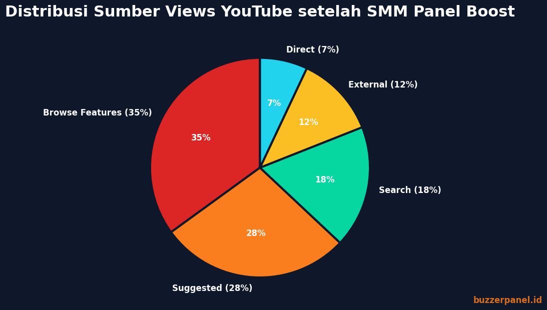 Distribusi sumber views YouTube setelah boost SMM panel