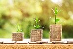 money income