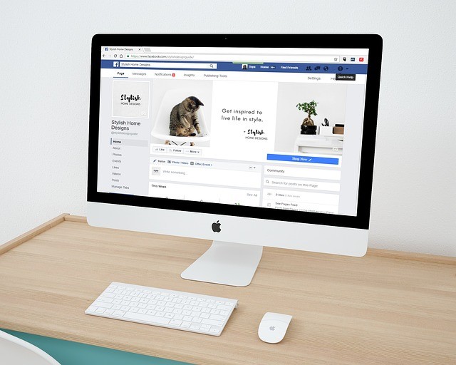 social media marketing growth