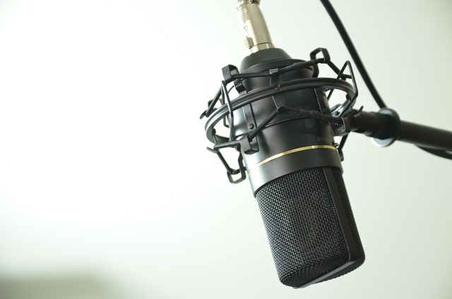 microphone recording professional